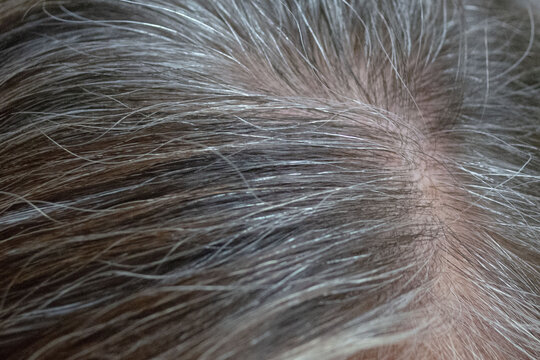 close up ra&iacute;z de cabello canoso de mujer madura
