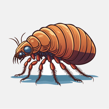 Cartoon Illustration of a Flea
