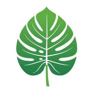 Monstera Leaf Flat Vector Illustration