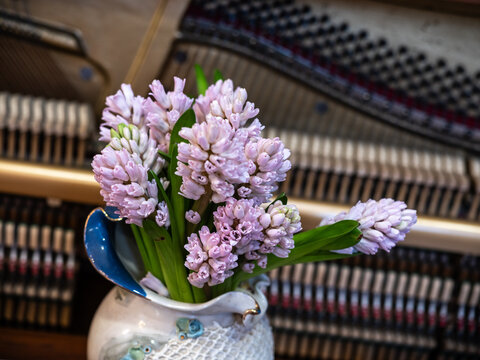Pink Hyacinth Bouquet in Decorative Vase with Vintage Piano Background