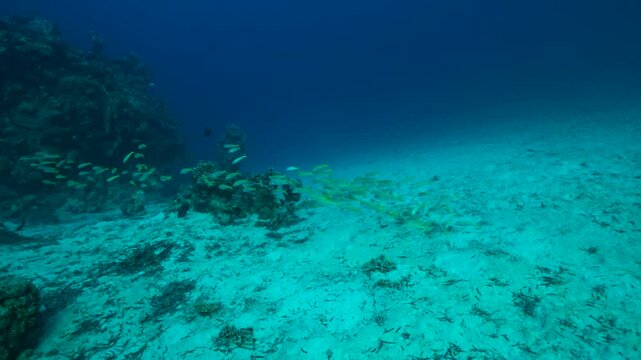 Scuba diving in Egypt
