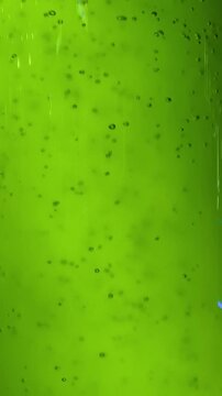 A photobioreactor (PBR) containing a thriving microalgae culture.The thick coloration indicates a dense concentration of photosynthetic biomass, typical of strains like Chlorella vulgaris.