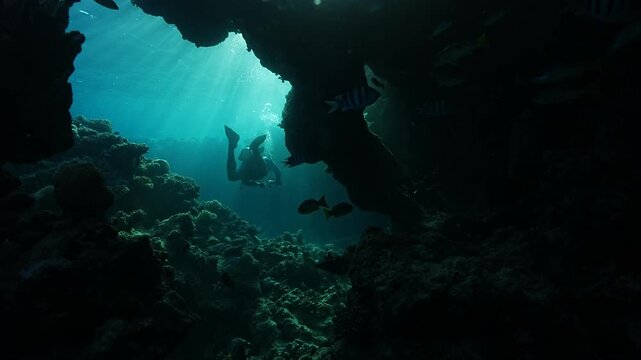 scuba diving in egypt