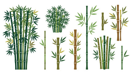 Obraz premium Bamboo forest stems with green leaves and wood texture.