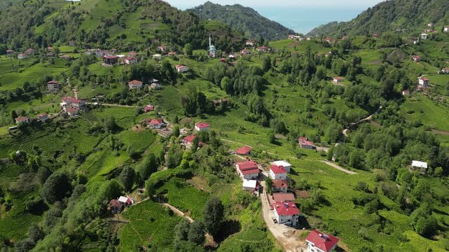 A drone view of one of the villages in Rize, Turkey's greenest city.