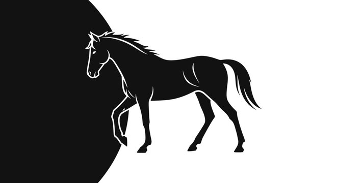 Elegant black horse silhouette walking on a contrasting black and white split background. Stylized monochrome equine vector illustration.