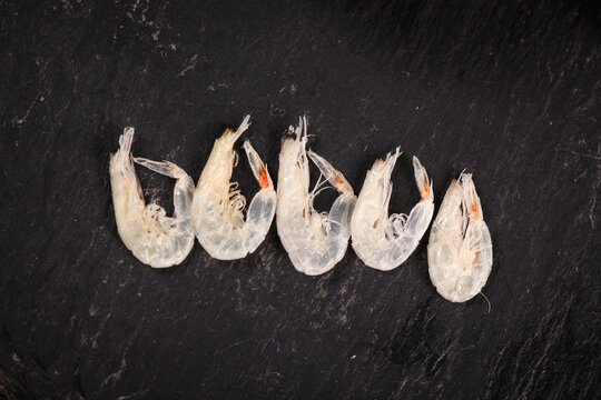 Fresh Raw Shrimp on Dark Slate Background - Premium Seafood Ingredient for Cooking