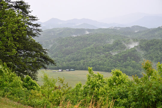 Rainy Day in the Smoky Mountains