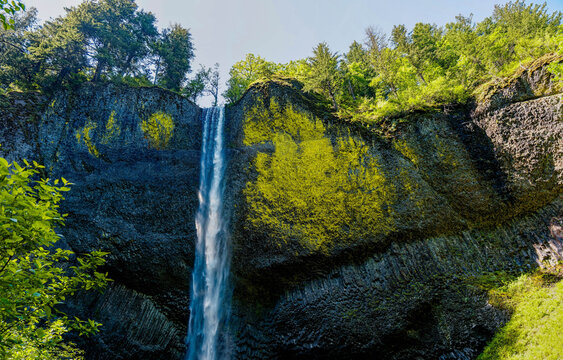Latourell Falls Viewed Through Spring Forest in the Columbia River Gorge National Scenic Area