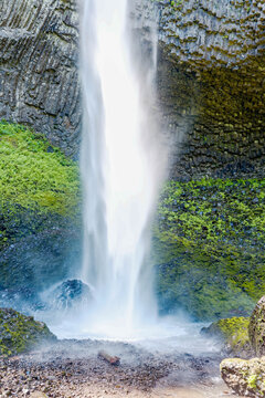 Latourell Falls Viewed Through Spring Forest in the Columbia River Gorge National Scenic Area