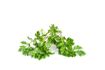 Obraz premium Fresh Mugwort Leaves Wild Herb Greenery Isolated White Background Qingming Season Traditional Medicine