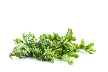 Fototapeta premium Fresh Wild Sage and Green Vegetables for Traditional Qingming Festival Cooking
