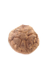 Naklejka premium Dried Shiitake Mushroom from Qingyuan Farm - Premium Wild Mushroom Ingredient on White Background