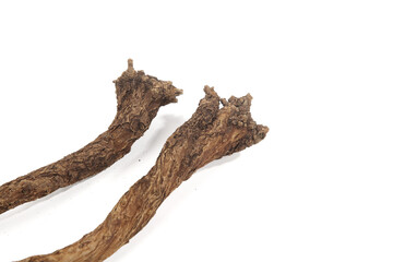 Fototapeta premium Dried Scutellaria Baicalensis Roots - Traditional Chinese Herbal Medicine Ingredient for Natural Health Products