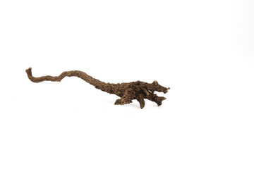 Obraz premium Dried Scutellaria Baicalensis Root - Traditional Chinese Medicinal Herb on White Background