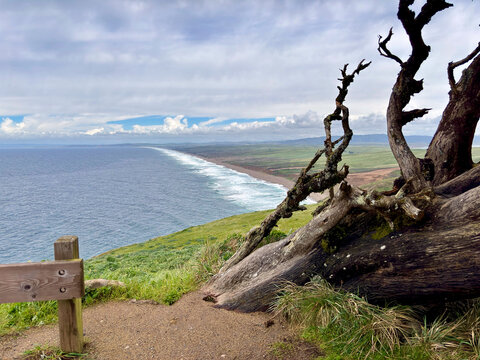 The coastal landscape of Point Reyes National Seashore  from vantage points in California
