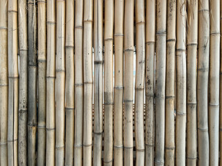 Naklejka premium Bamboo Fence Texture Natural Vertical Wood Background