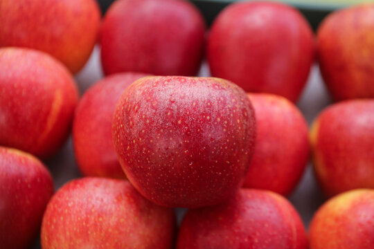 Fresh Red Apples with Water Droplets - Healthy Fruit Background