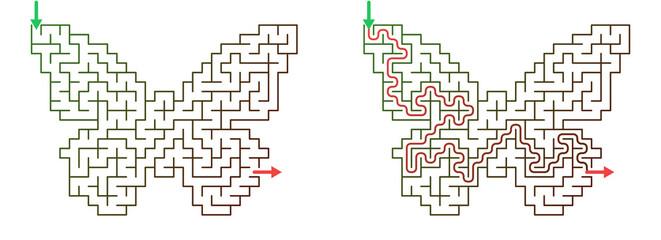 Fototapeta premium Butterfly-shaped maze with solution highlighted in red lines 