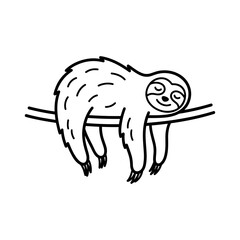 Obraz premium Sloth hanging from a branch sleeping.