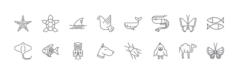 Fototapeta premium Modern set of 16 thin outline Animals icons. Vector signs such as sea star, stingray, turtle, fish, fin isolated on white