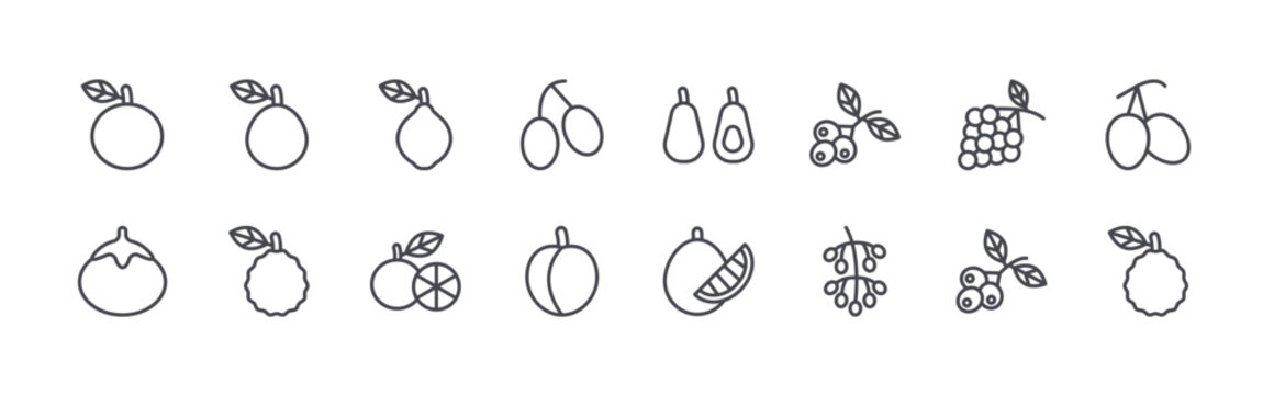 Modern set of 16 thin outline Fruit icons. Vector signs such as clementine, persimmon, guava, kaffir lime, lime isolated on white