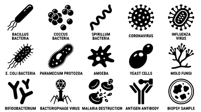 Vector graphic illustration of various microscopic biological organisms and viruses