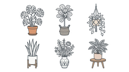 Obraz premium Potted houseplant collection including monstera and snake plant