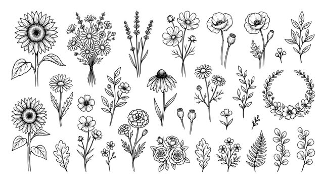 Set of hand drawn flowers and leaves