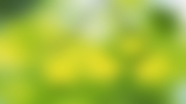 Abstract Blurred Green and Yellow Nature Background with Soft Bokeh Lights