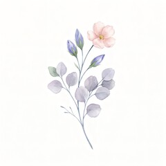 Fototapeta premium Delicate Watercolor Botanical Sprig With Soft Bloom 