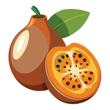 Illustration of whole and sliced brown sapote fruit with green leaf