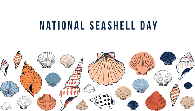 Decorative collection of various colorful hand drawn sea shell illustrations