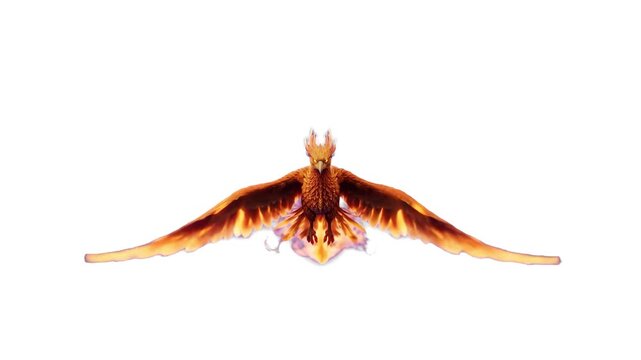 A fiery 3D mythical phoenix bird spreads its burning wings while flying against a clean white backdrop. Excellent for fantasy gaming, cinematic VFX overlays, motion graphics, and legendary creature co