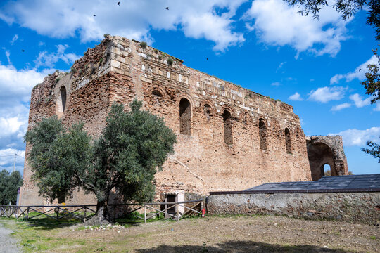 Medieval brick ruins and olive tree at Scolacium Park, Calabria