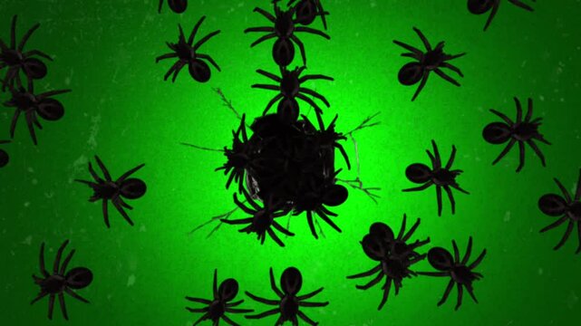 Creepy black spiders crawling out of a hole on a textured green background, horror animation