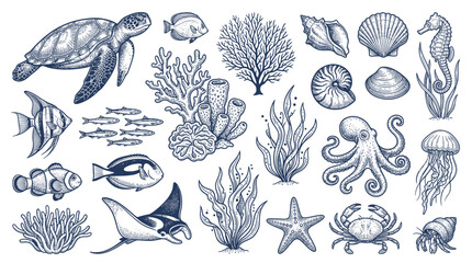 Vintage marine life and coral reef sea creatures collection © jami