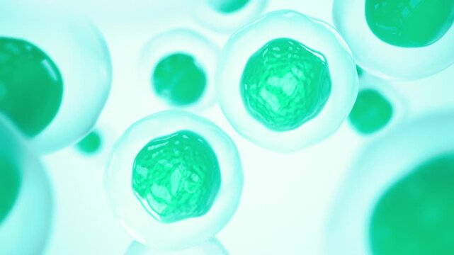 Chloroplast eukaryotic cell animation under the microscope Green microscopic formation in a plant cell Research and genetic engineering Biology and science cellular concept GMO DNA in 4K Ultra HD foot
