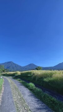 Vertical Static View of Rural Road and Mountain Range with Sky Copy Space in Bali
