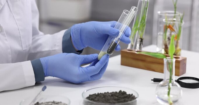 Laboratory testing. Scientist with samples of soil and sand at white table indoors, closeup
