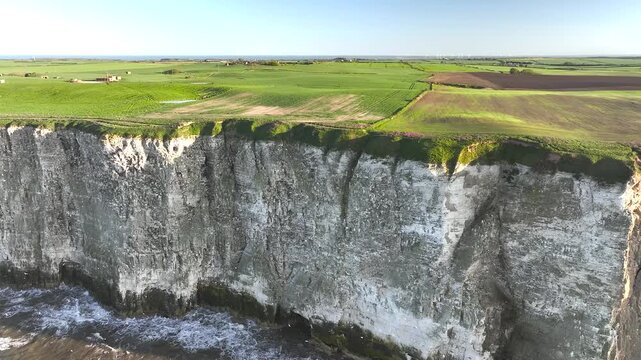 Seabird Colony on Bempton Cliffs from a drone, Yorkshire, England	