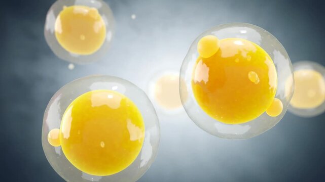 Microscopic view of glowing cells dividing and expanding vibrant biological growth animation