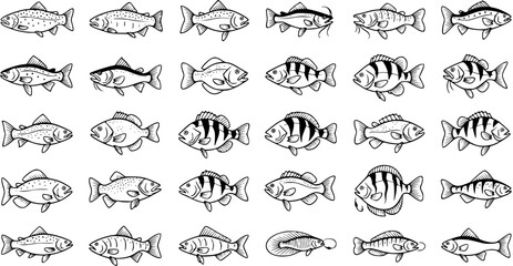 Fototapeta premium Black and White Line Art Collection of Diverse Fish Illustrations