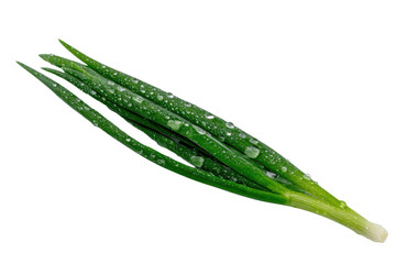 Fototapeta premium Fresh green okra pods with dew droplets on black background vegetable