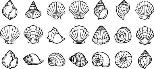 Collection of Black and White Line Art Seashells. Outline Icons of Various Sea Shells and Conch Shells for Marine, Beach, and Summer Designs. © kulinadsgn