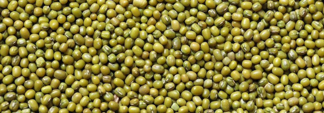 Mung bean background. Green bean mash texture. Close up view of Legumes