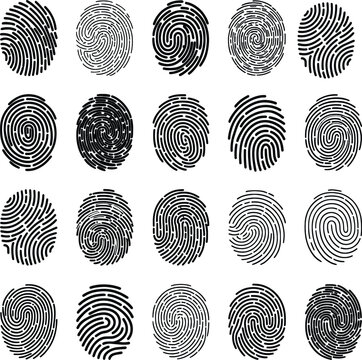 A collection of black stylized fingerprint patterns displaying various swirling and looped ridge details on a white background representing individuality and identification methods