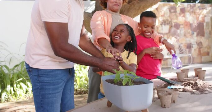 African American family planting at patio, father placing seedling, teaching gardening, boy misting