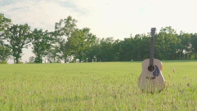 草原とアコースティックギター