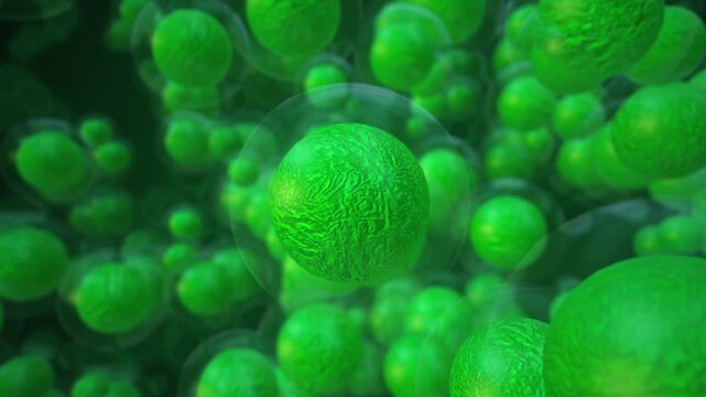 Embryonic stem cells medical concept Cellular Differentiation Blastocyst Development and Regenerative Medicine Science Experiment in 4K Ultra HD footage
